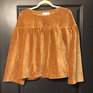 Velvet sweater by Texture & Thread by Madewell